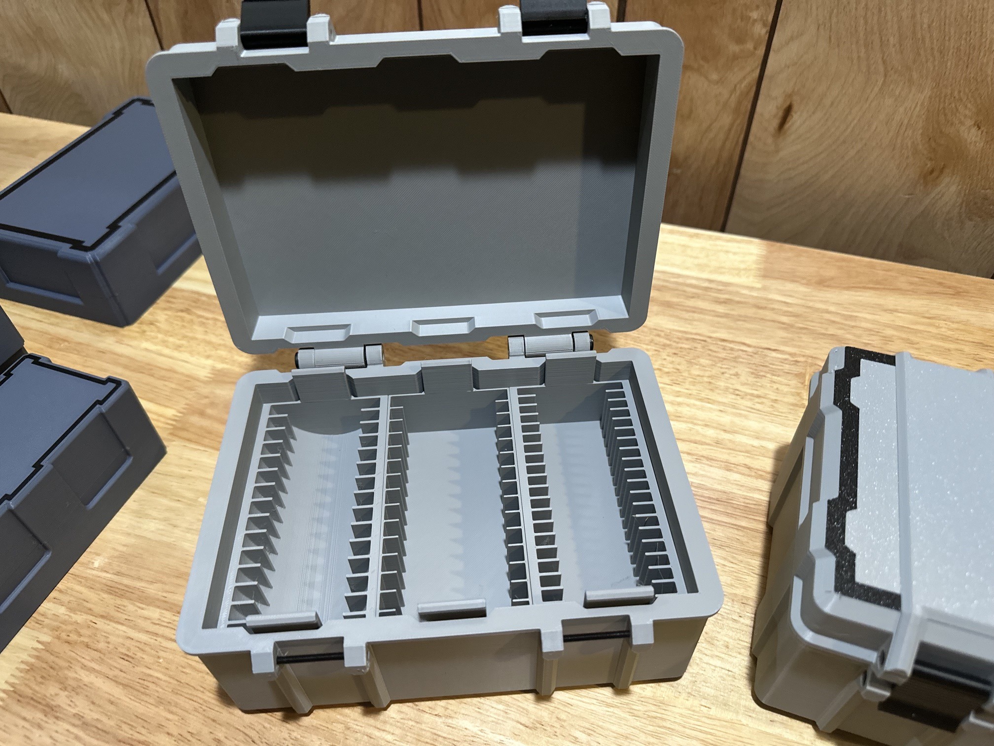 Ultimate Coin Storage Box | Holds Rounds, Bars, and Flips - Image 4